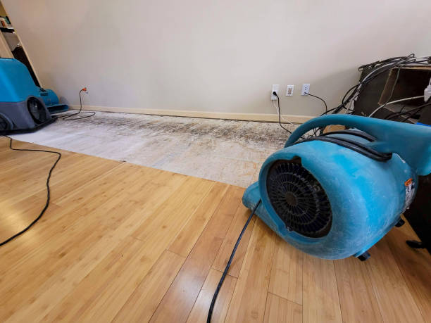 Professional Ceiling Water Damage Repair technician working in Fort Myers Beach, FL